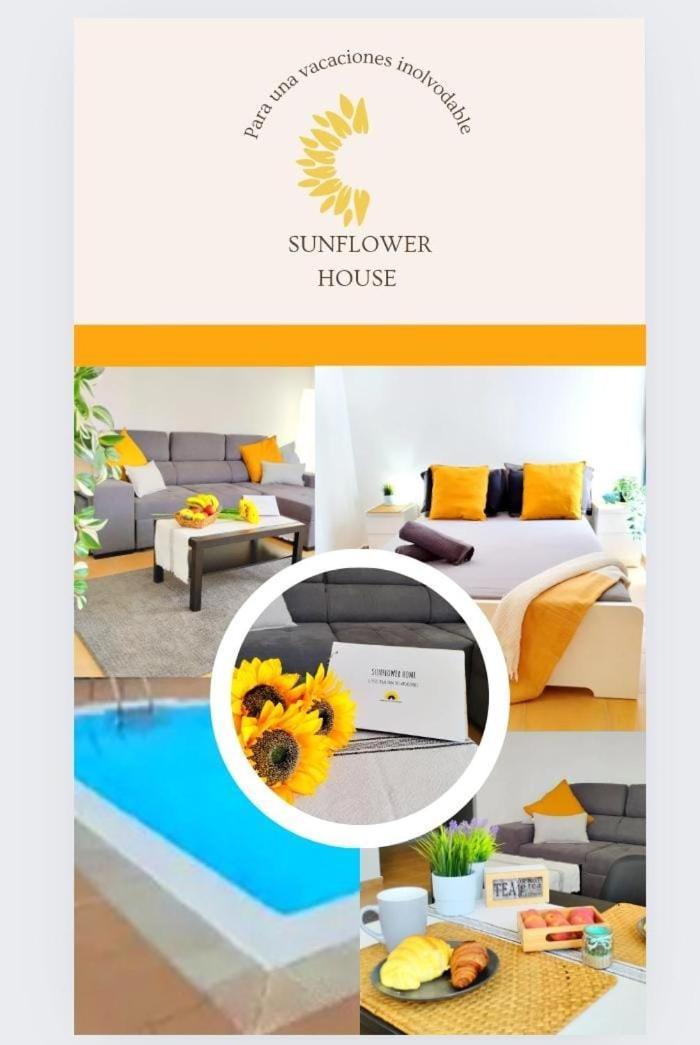 Apartament Sunflower, El Con Piscina En Complejo Residencial