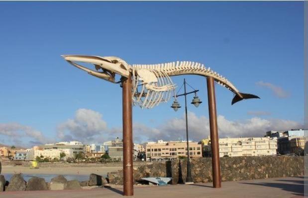 Apartament Sunflower, El Con Piscina En Complejo Residencial Puerto del Rosario (Fuerteventura)